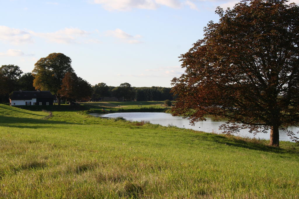 Zwaluwhof Bed and Breakfast Dalfsen Buitenkant foto