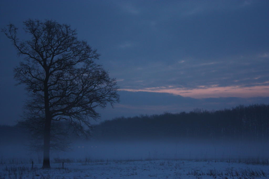 Zwaluwhof Bed and Breakfast Dalfsen Buitenkant foto