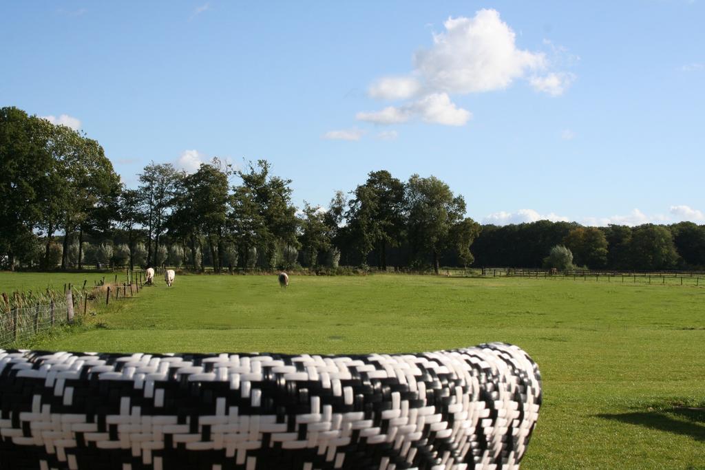 Zwaluwhof Bed and Breakfast Dalfsen Buitenkant foto